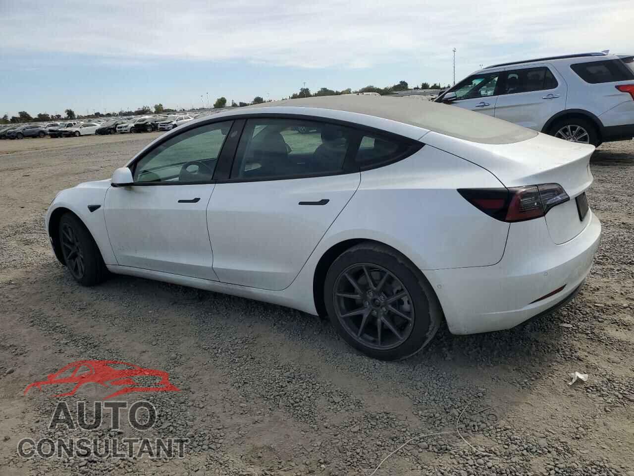TESLA MODEL 3 2021 - 5YJ3E1EB0MF150342