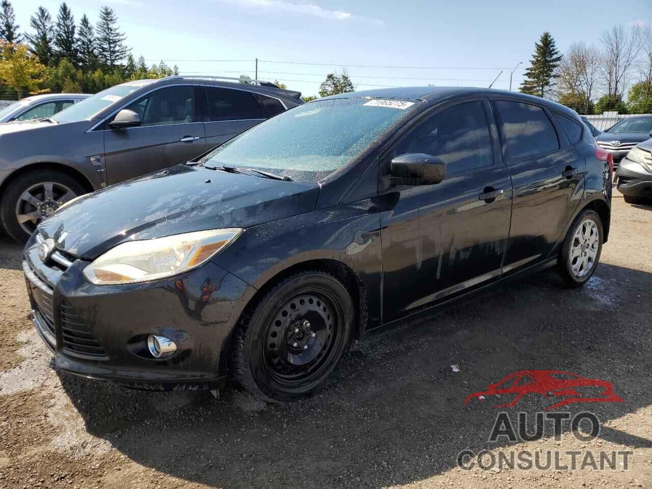 FORD FOCUS 2012 - 1FAHP3K21CL116086