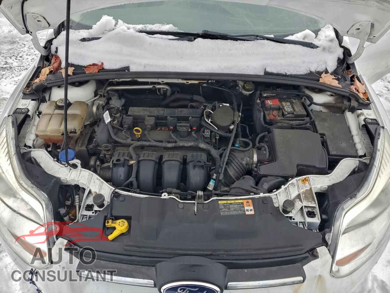 FORD FOCUS 2013 - 1FADP3F2XDL280379