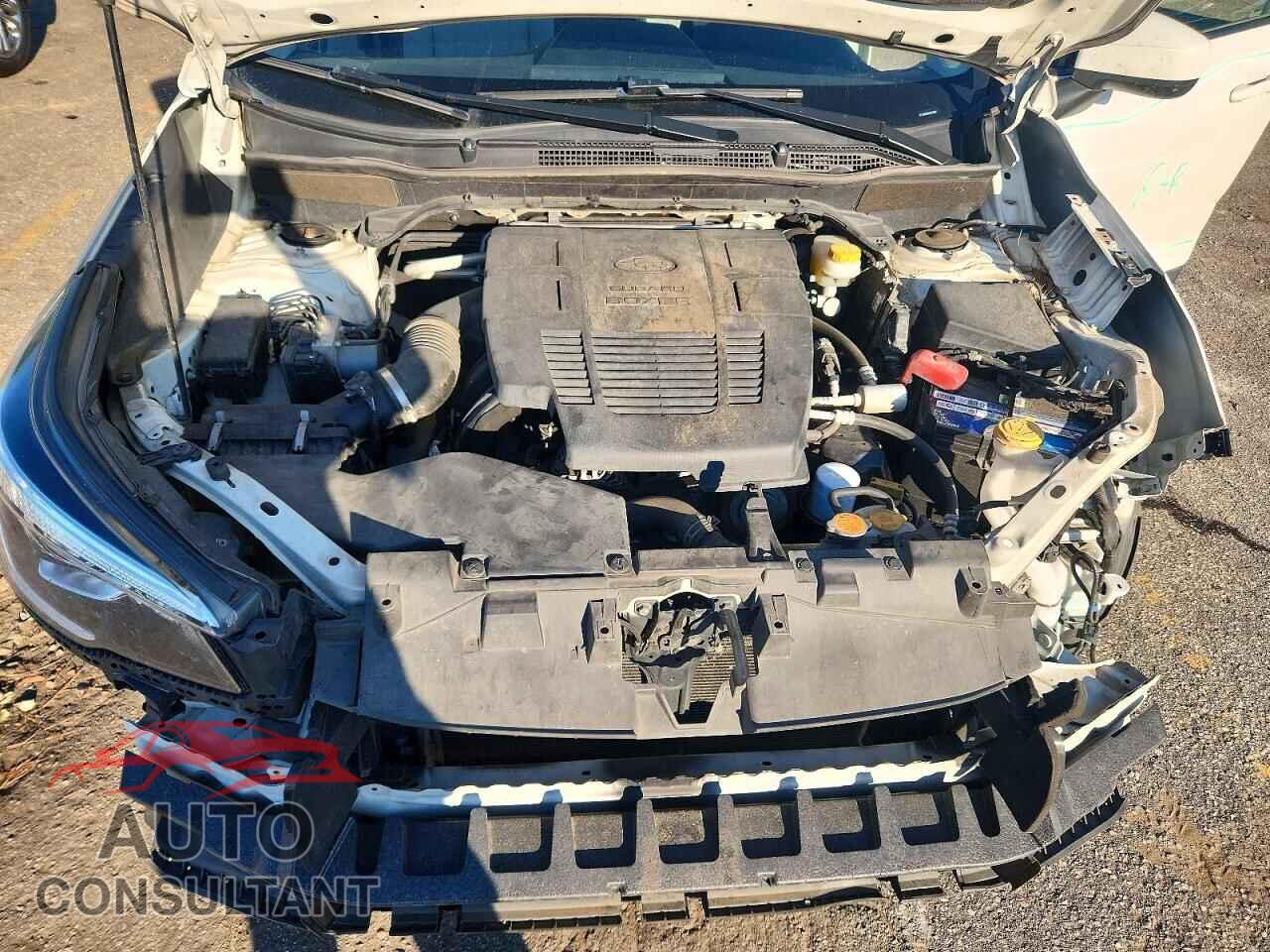 SUBARU FORESTER 2019 - JF2SKAGC0KH517801