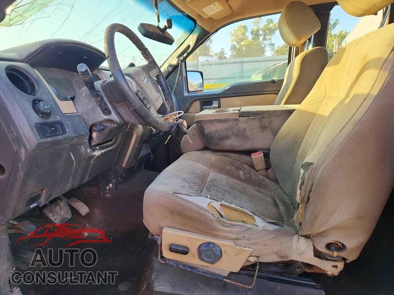FORD F150 2013 - 1FTFX1CF1DKD95599