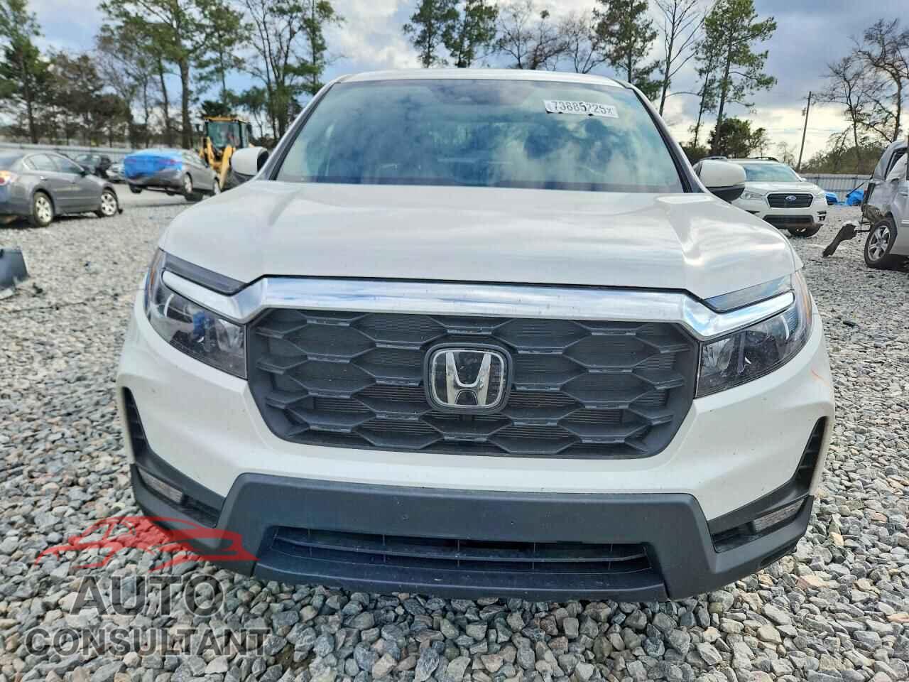 HONDA PASSPORT 2025 - 5FNYF8H58SB019738