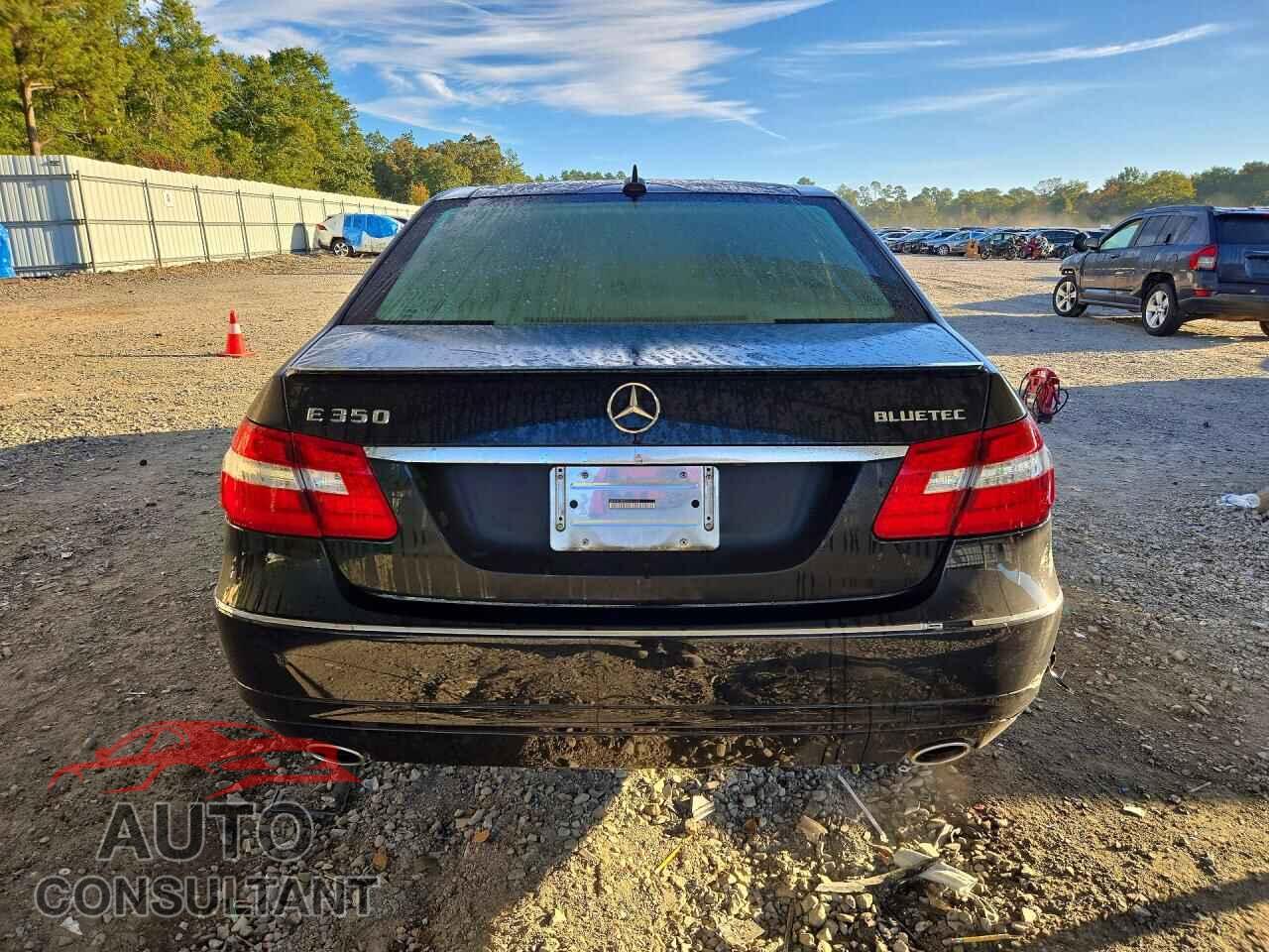 MERCEDES-BENZ E-CLASS 2013 - WDDHF2EB0DA711632