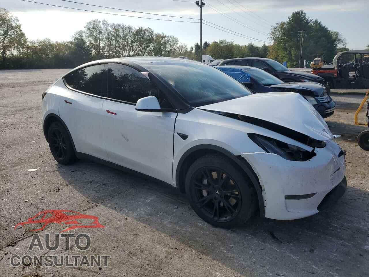 TESLA MODEL Y 2020 - 5YJYGDEEXLF038271