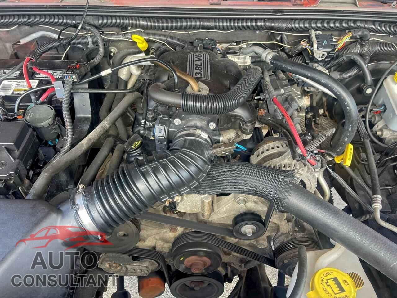 JEEP WRANGLER 2011 - 1J4BA5H13BL532659