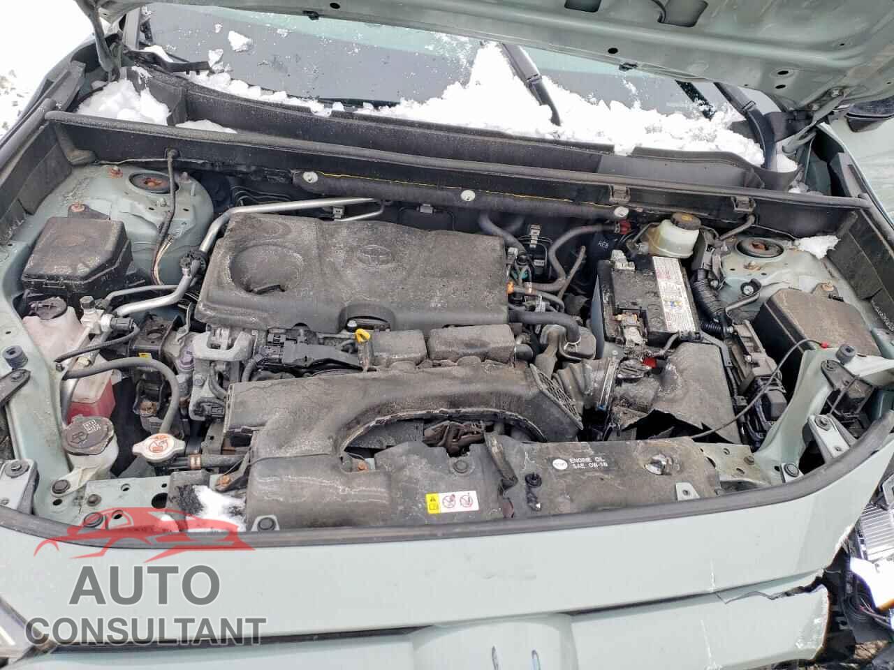 TOYOTA RAV4 2019 - JTMP1RFV2KD033080