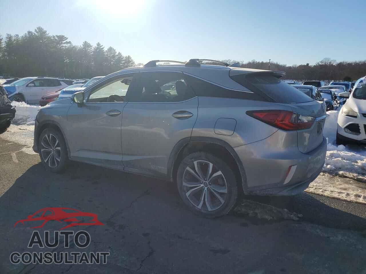 LEXUS RX450 2019 - 2T2BGMCAXKC037643