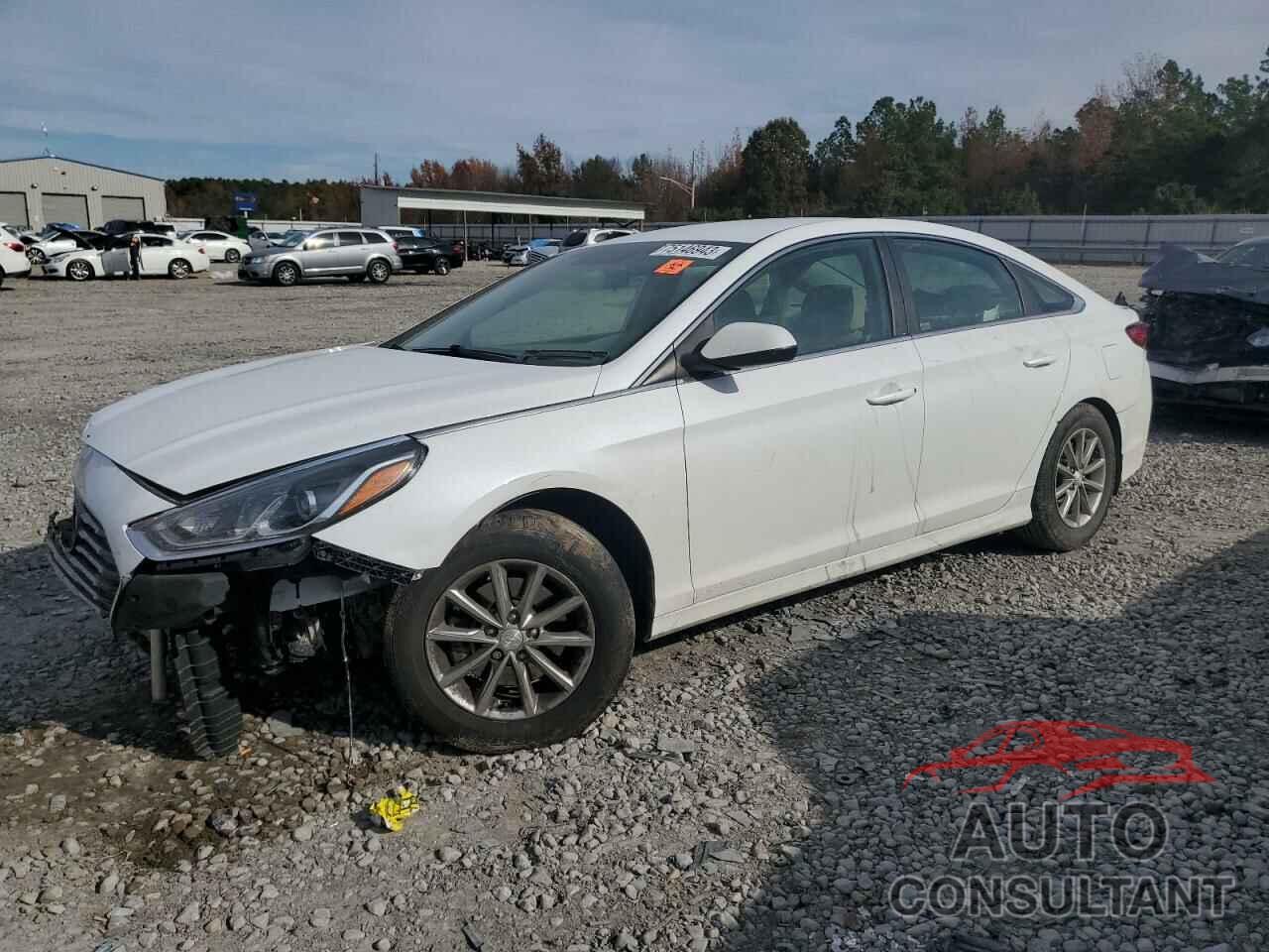 HYUNDAI SONATA 2019 - 5NPE24AF6KH796401