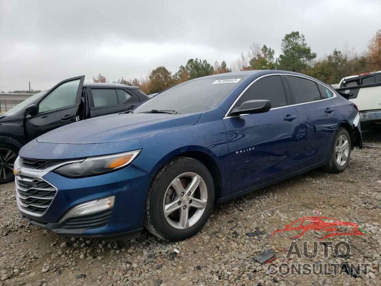 CHEVROLET MALIBU 2019 - 1G1ZB5ST4KF207425
