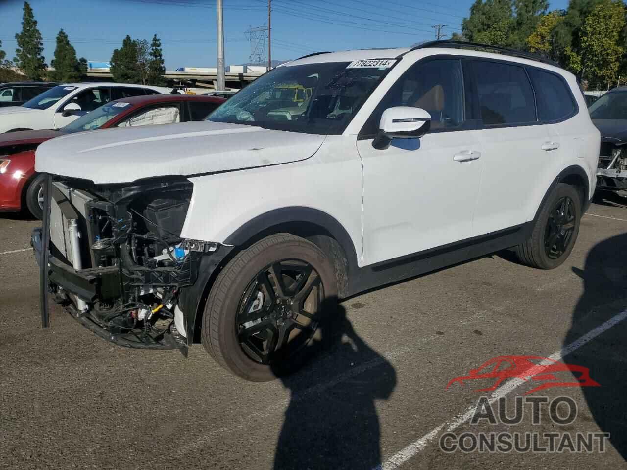 KIA TELLURIDE 2024 - 5XYP5DGC8RG485051