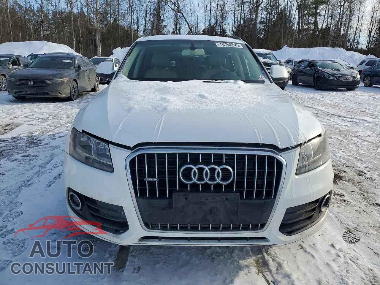 AUDI Q5 2013 - WA1CFCFP7DA063298
