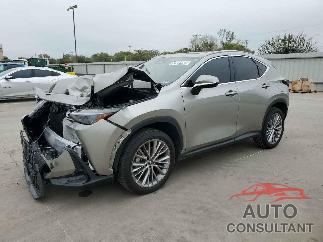 LEXUS NX 350 PRE 2025 - 2T2GGCEZ0SC066877