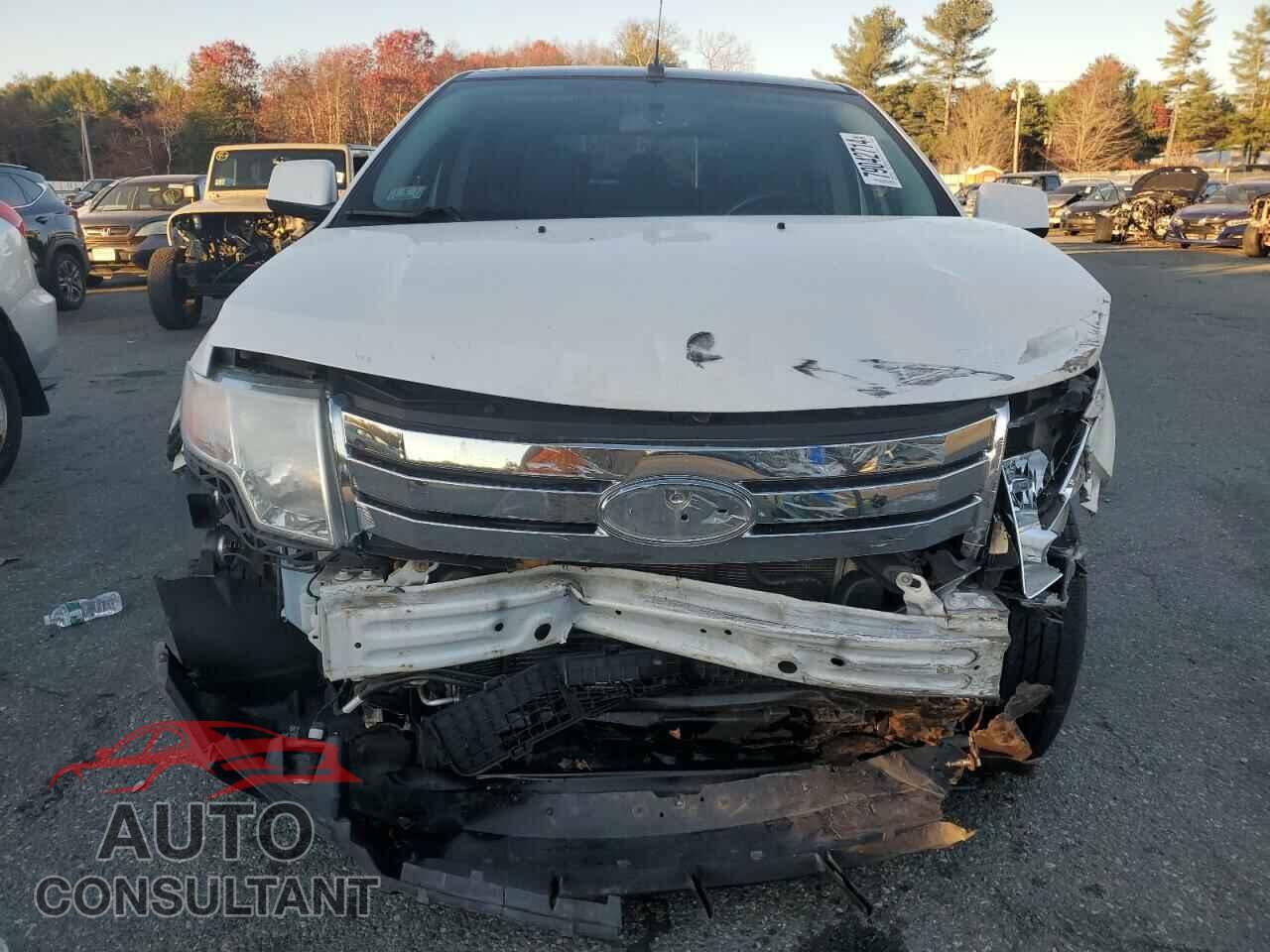FORD EDGE 2010 - 2FMDK4KC0ABB38742