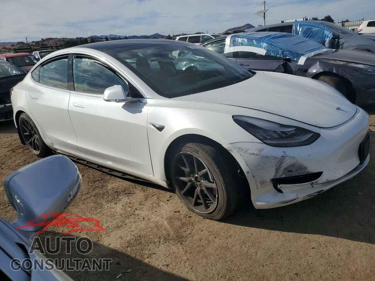 TESLA MODEL 3 2020 - 5YJ3E1EB5LF619231