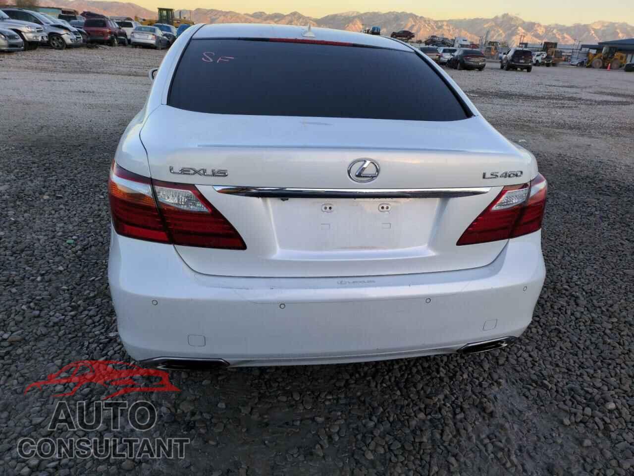 LEXUS LS460 2010 - JTHBL5EF5A5098519