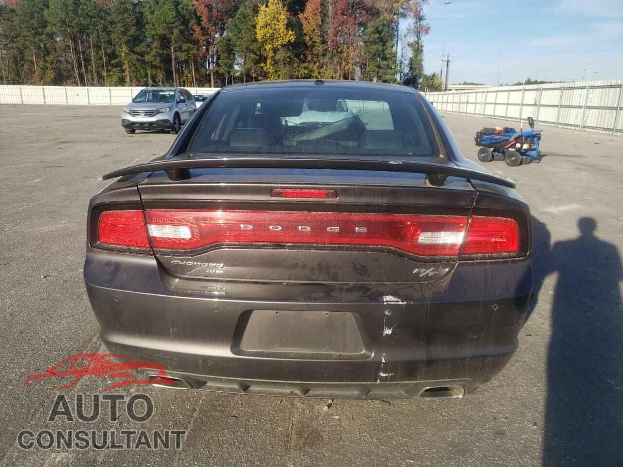 DODGE CHARGER 2014 - 2C3CDXDTXEH260976