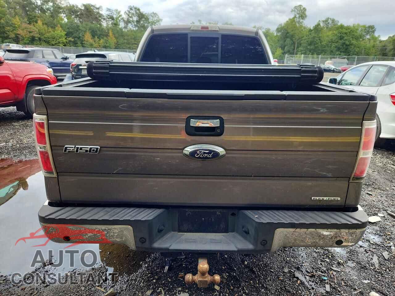 FORD F150 2014 - 1FTFX1CF5EFA99284