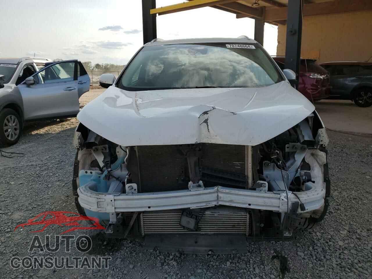FORD EDGE 2020 - 2FMPK3J93LBA04114