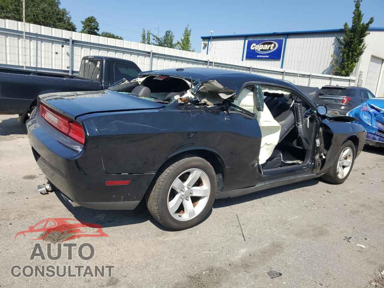 DODGE CHALLENGER 2013 - 2C3CDYAG2DH675110