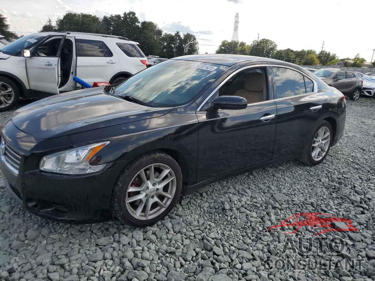 NISSAN MAXIMA 2009 - 1N4AA51EX9C827563
