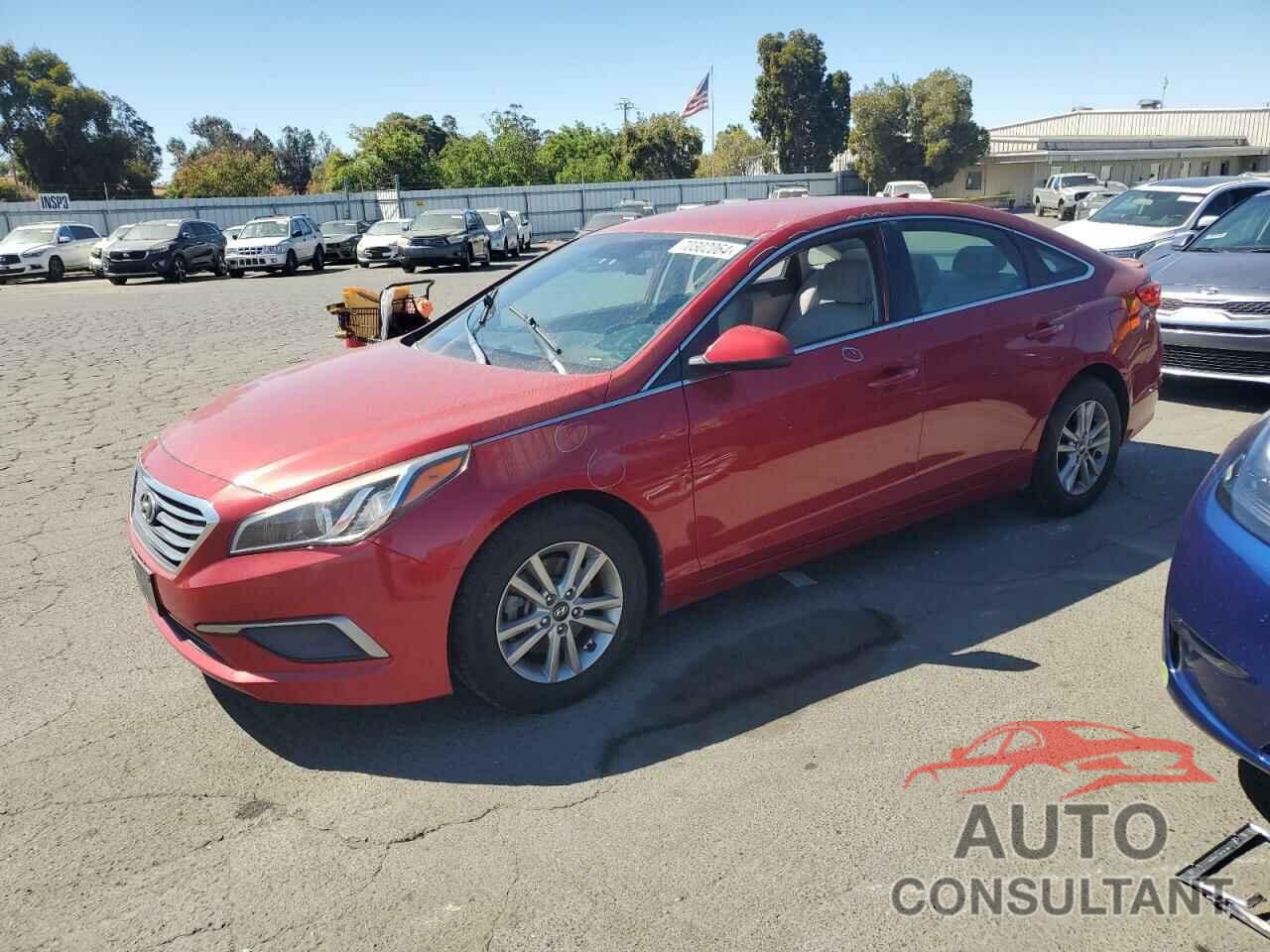 HYUNDAI SONATA 2017 - 5NPE24AFXHH469198