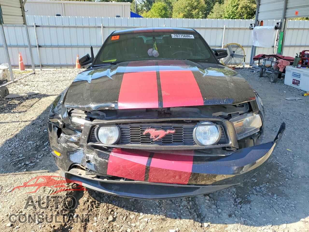 FORD MUSTANG 2011 - 1ZVBP8CF9B5110096