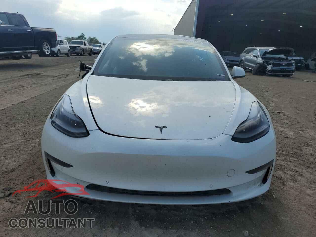 TESLA MODEL 3 2021 - 5YJ3E1EB7MF924831