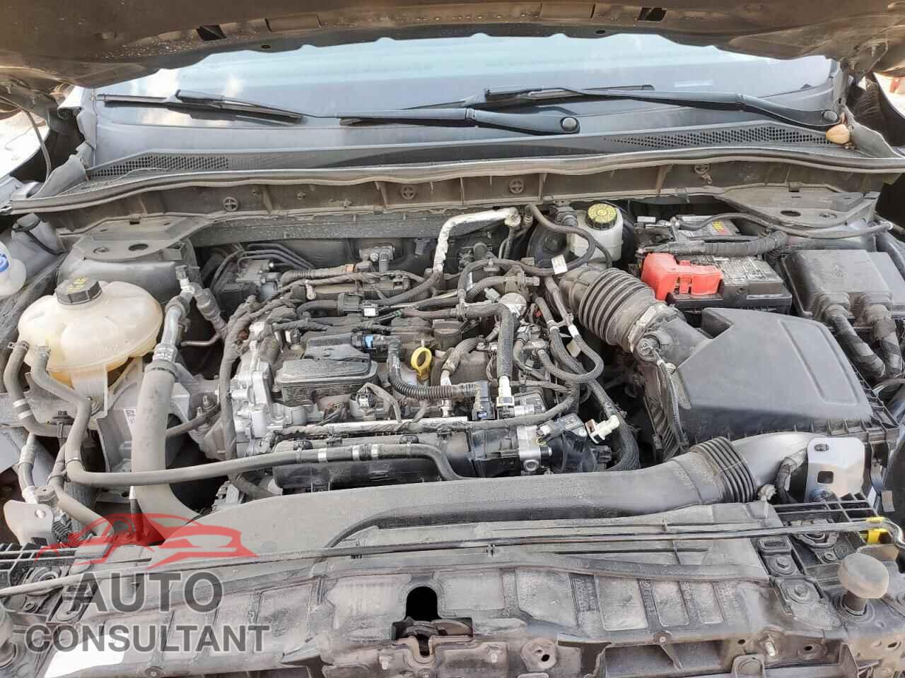 FORD ESCAPE 2020 - 1FMCU0F63LUC52654