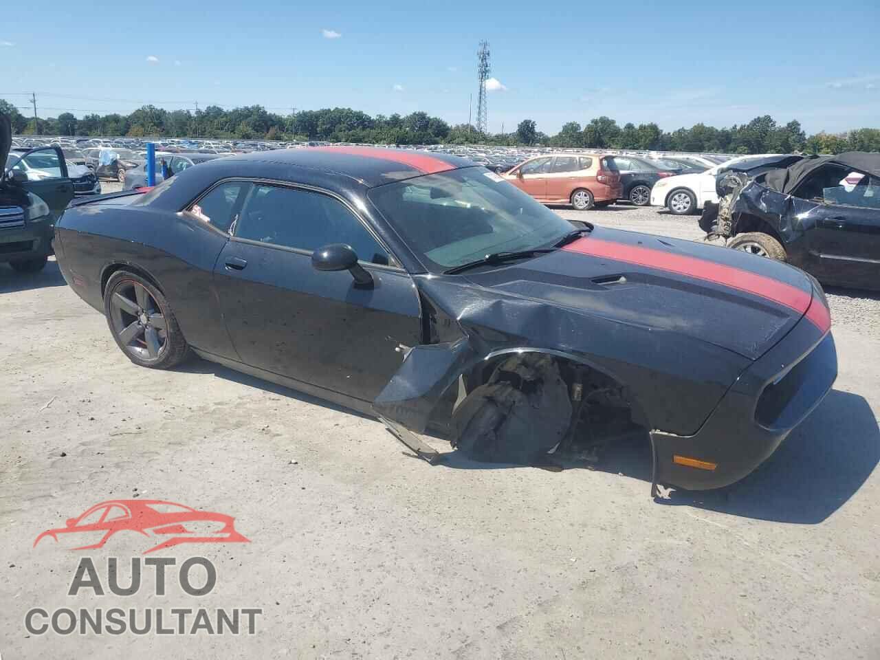 DODGE CHALLENGER 2013 - 2C3CDYAG9DH691689