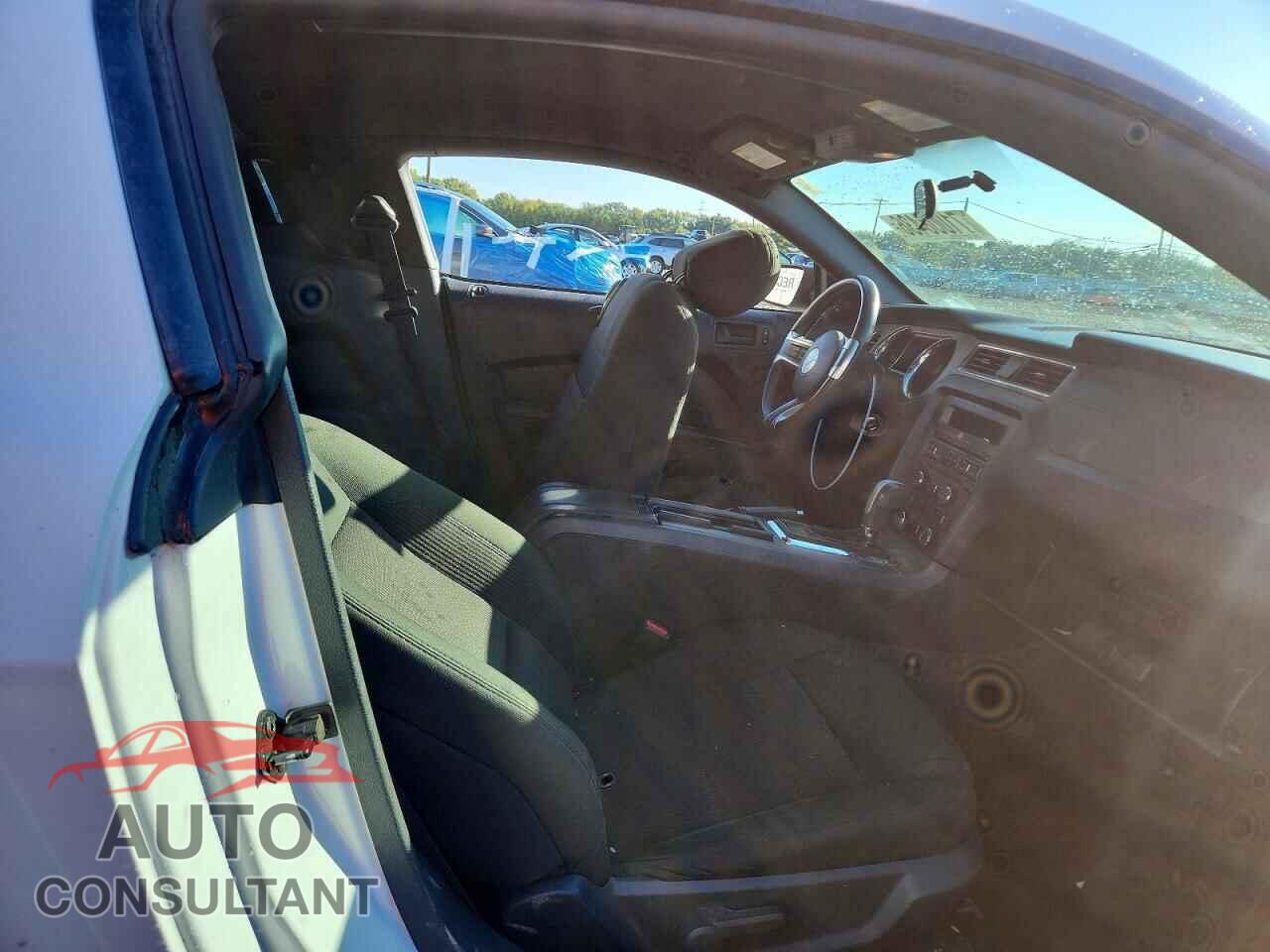 FORD MUSTANG 2014 - 1ZVBP8AM0E5282104
