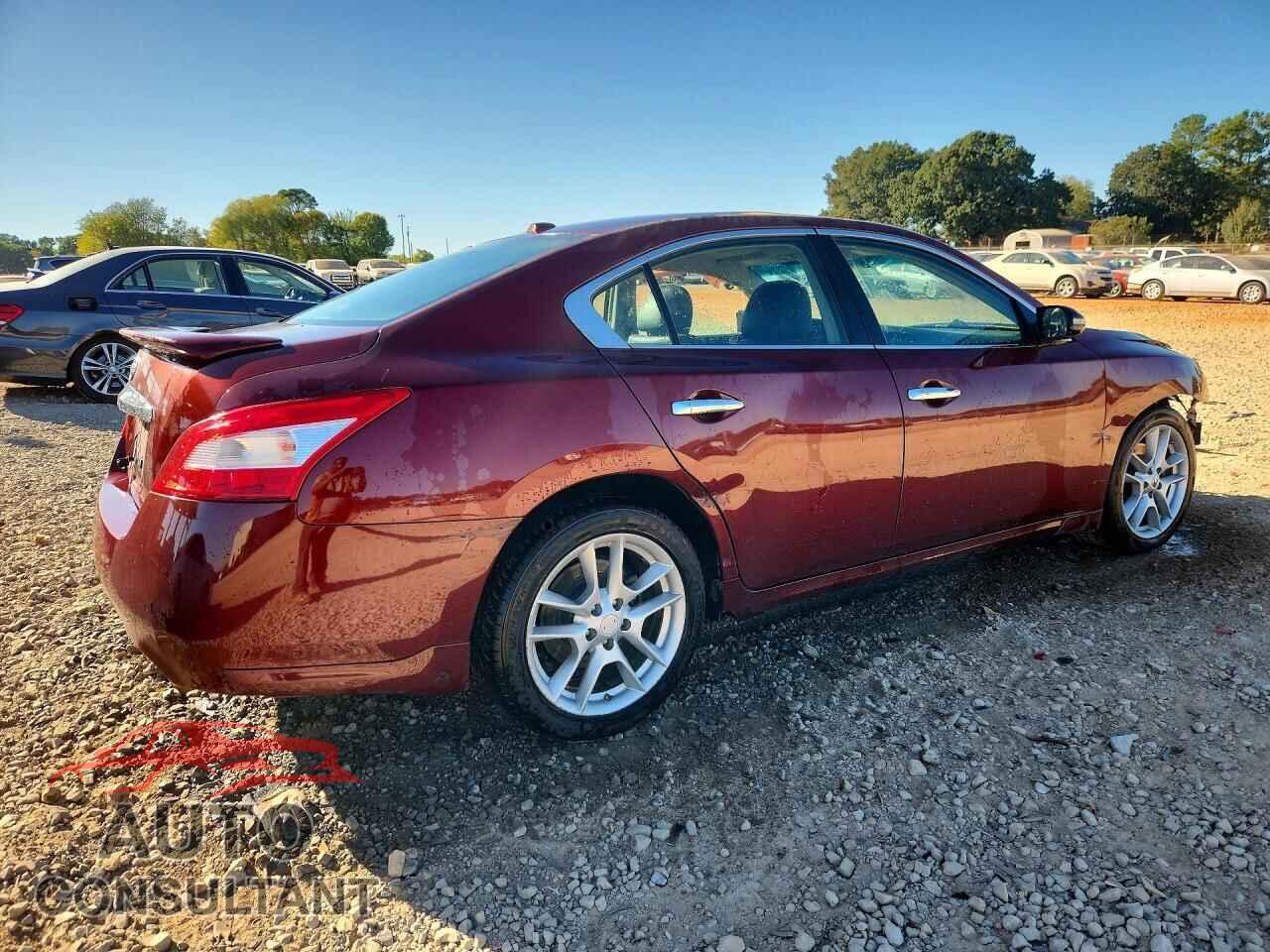 NISSAN MAXIMA 2010 - 1N4AA5AP1AC830602