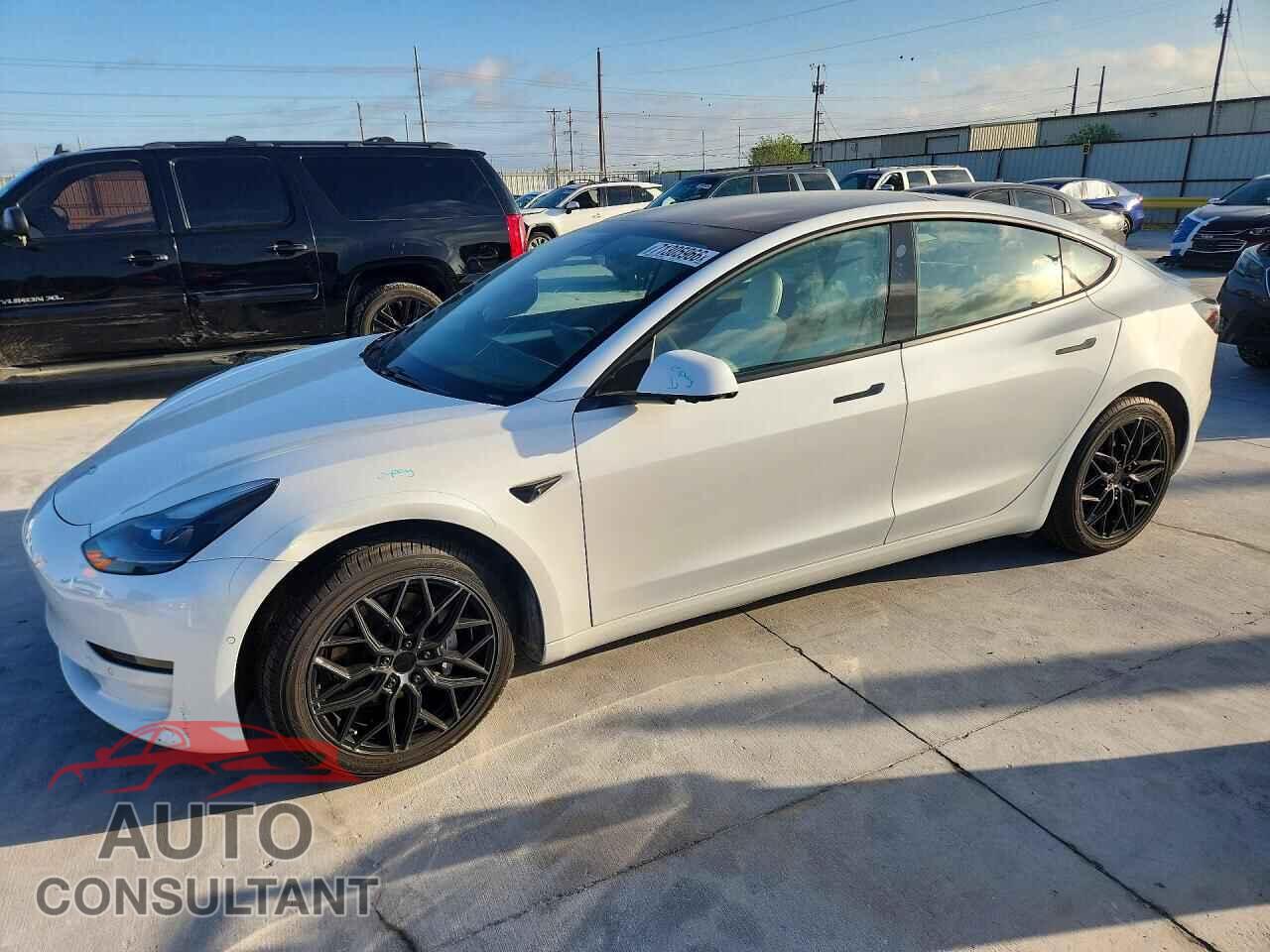 TESLA MODEL 3 2021 - 5YJ3E1EA3MF995144