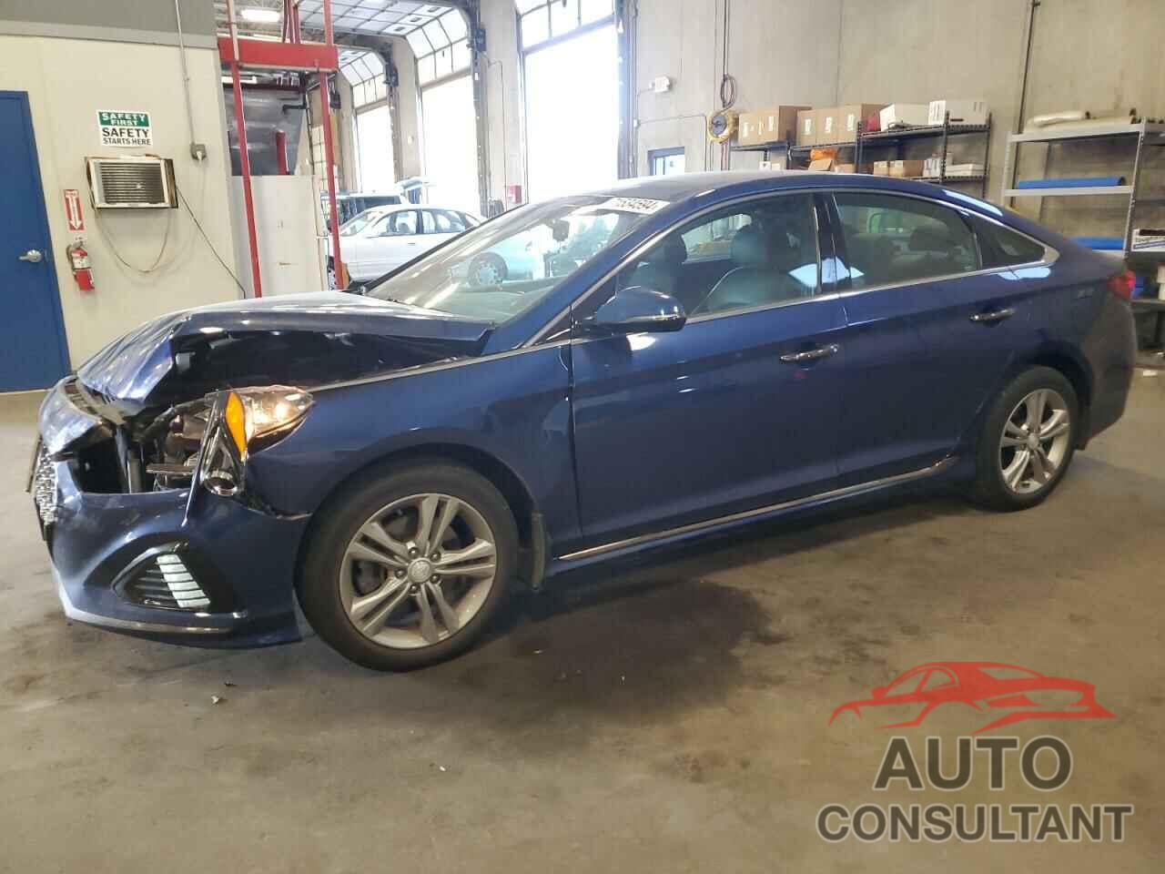 HYUNDAI SONATA 2019 - 5NPE34AF1KH779342