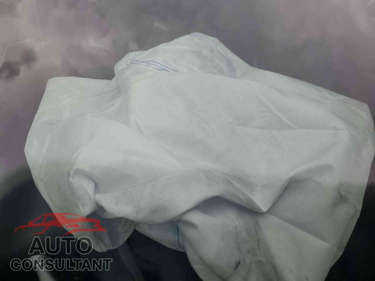 TESLA MODEL 3 2021 - 5YJ3E1EB3MF009314