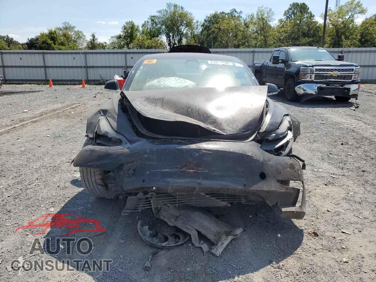 TESLA MODEL 3 2019 - 5YJ3E1EA5KF193062