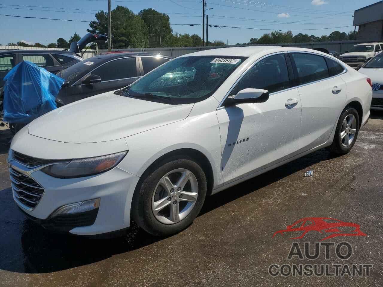 CHEVROLET MALIBU 2020 - 1G1ZC5ST7LF132878