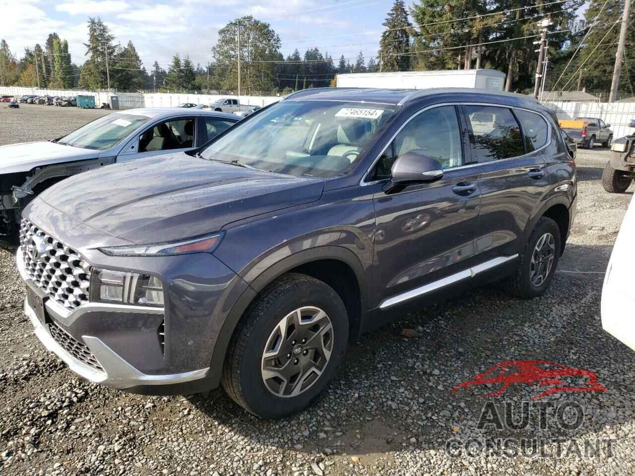 HYUNDAI SANTA FE 2022 - KM8S2DA15NU058442