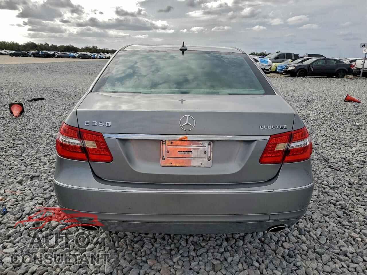 MERCEDES-BENZ E-CLASS 2012 - WDDHF2EB1CA635384