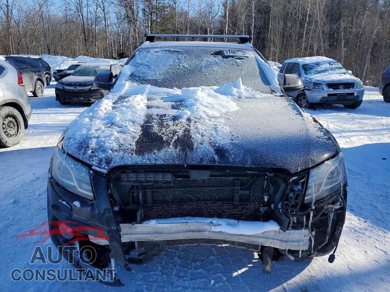 AUDI Q5 2010 - WA1MKDFPXAA092084