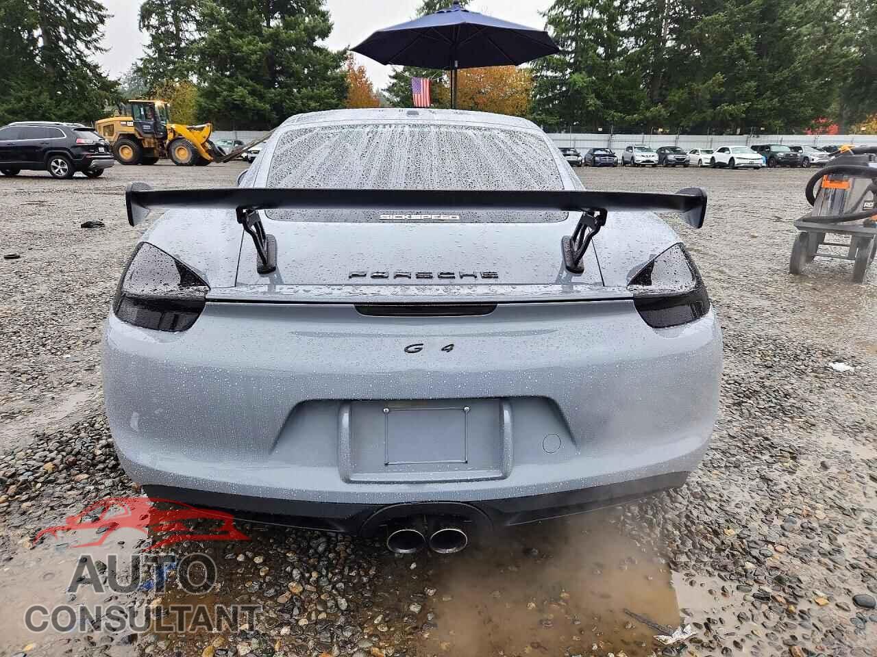 PORSCHE CAYMAN 2015 - WP0AA2A82FK164123