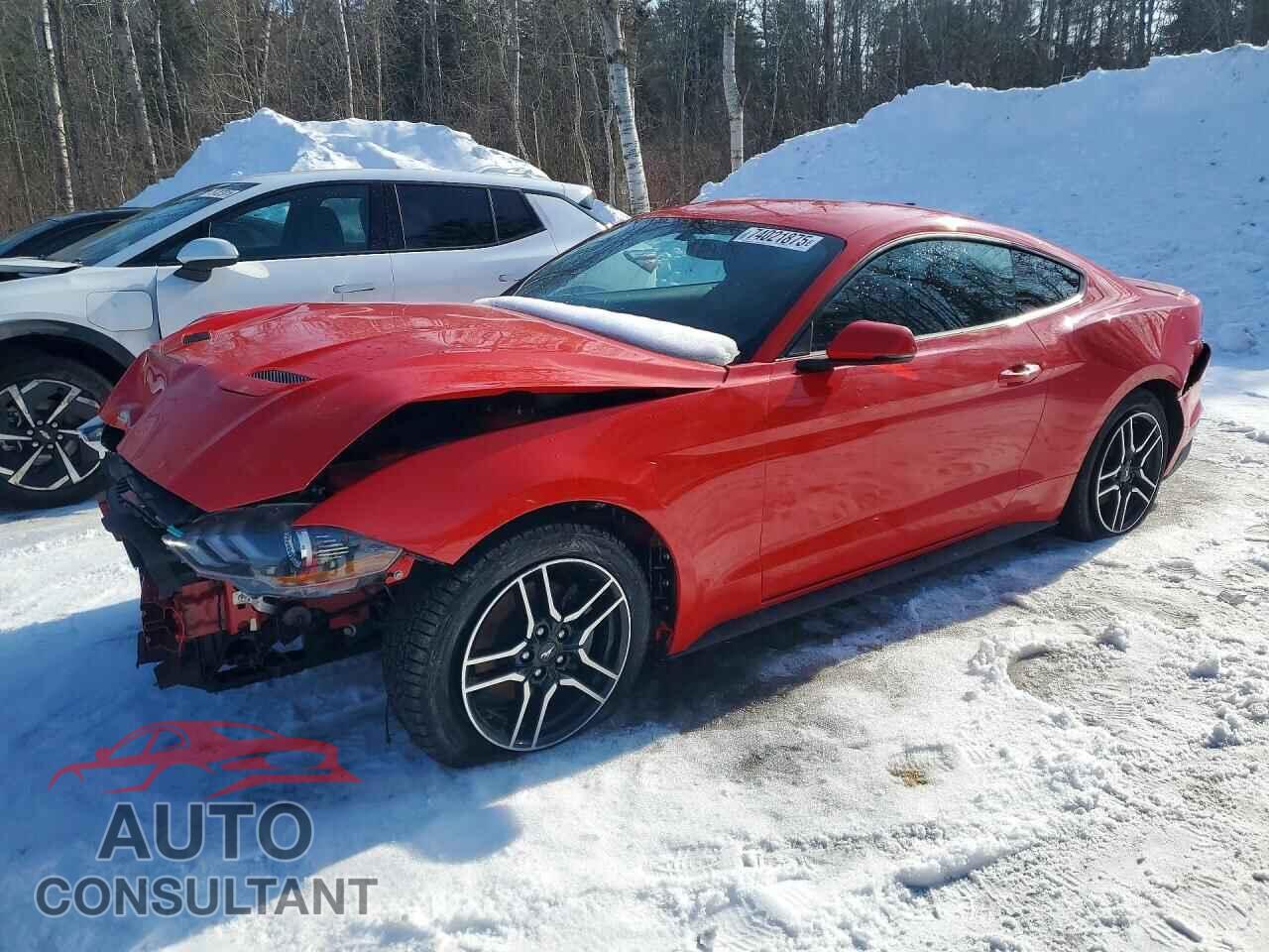 FORD MUSTANG 2019 - 1FA6P8TH0K5103100