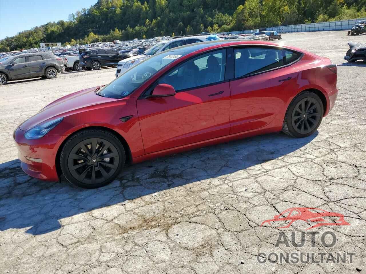 TESLA MODEL 3 2021 - 5YJ3E1EAXMF861389