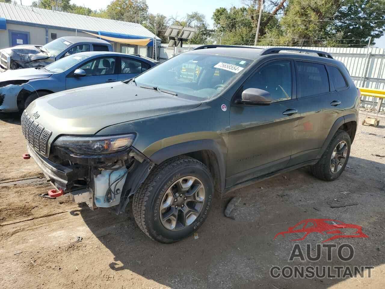 JEEP CHEROKEE 2019 - 1C4PJMBXXKD199552