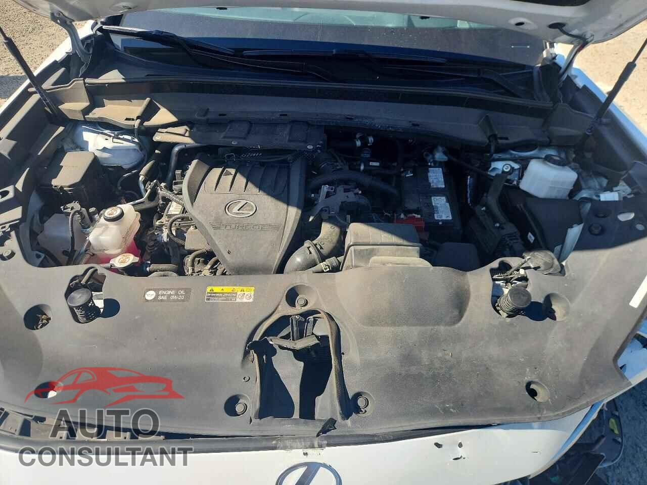 LEXUS TX 350 BAS 2024 - 5TDAAAA69RS005461