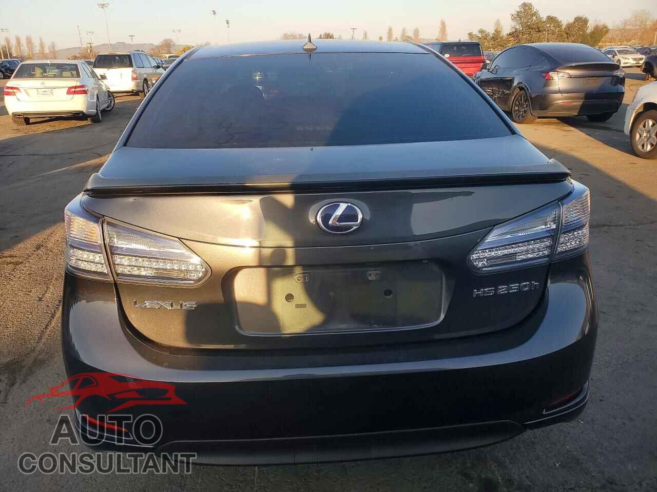 LEXUS HS 2010 - JTHBB1BA1A2019918