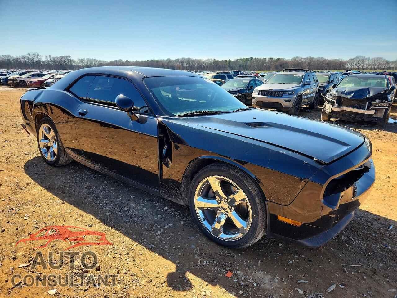DODGE CHALLENGER 2013 - 2C3CDYAG0DH681875