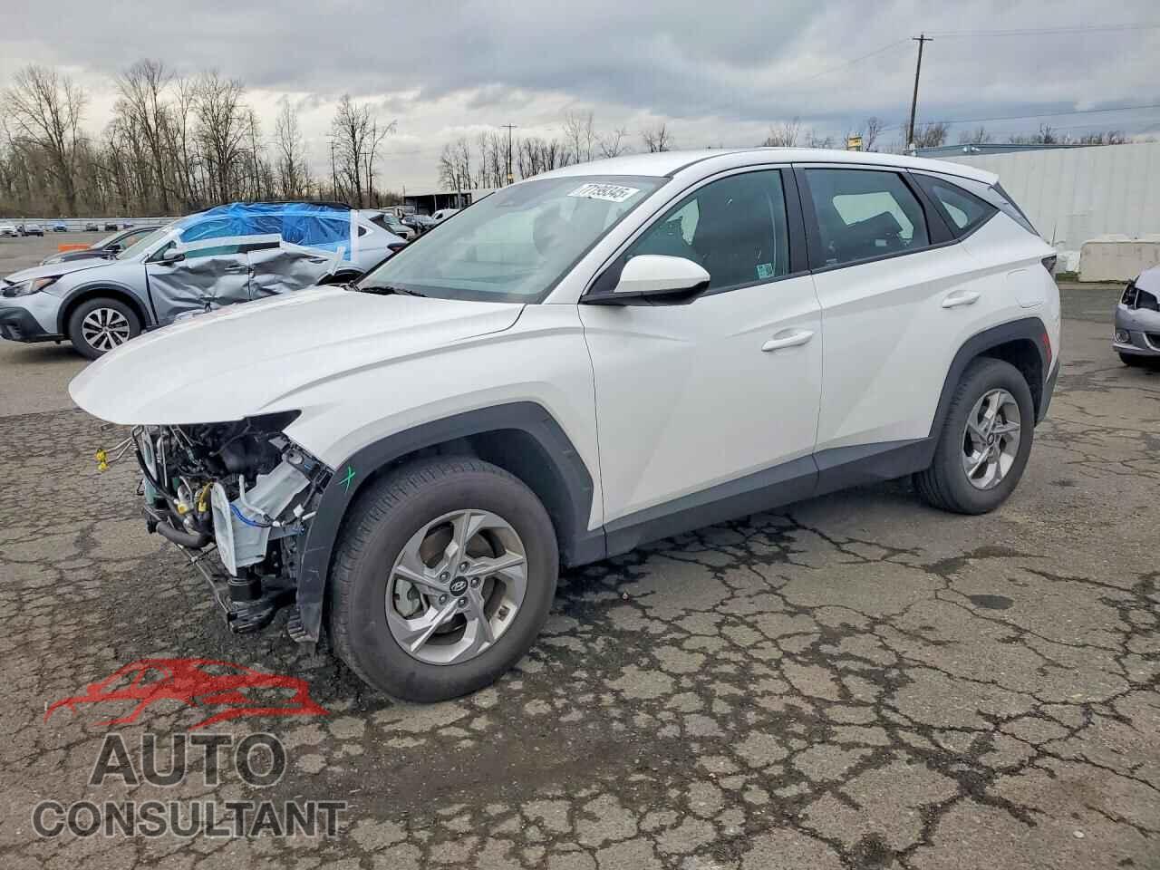 HYUNDAI TUCSON 2024 - 5NMJACDE9RH395995