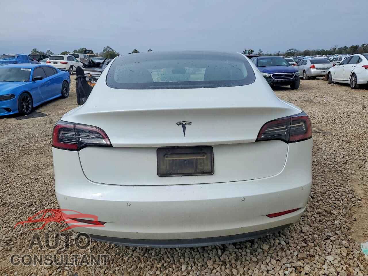 TESLA MODEL 3 2021 - 5YJ3E1EA7MF859860
