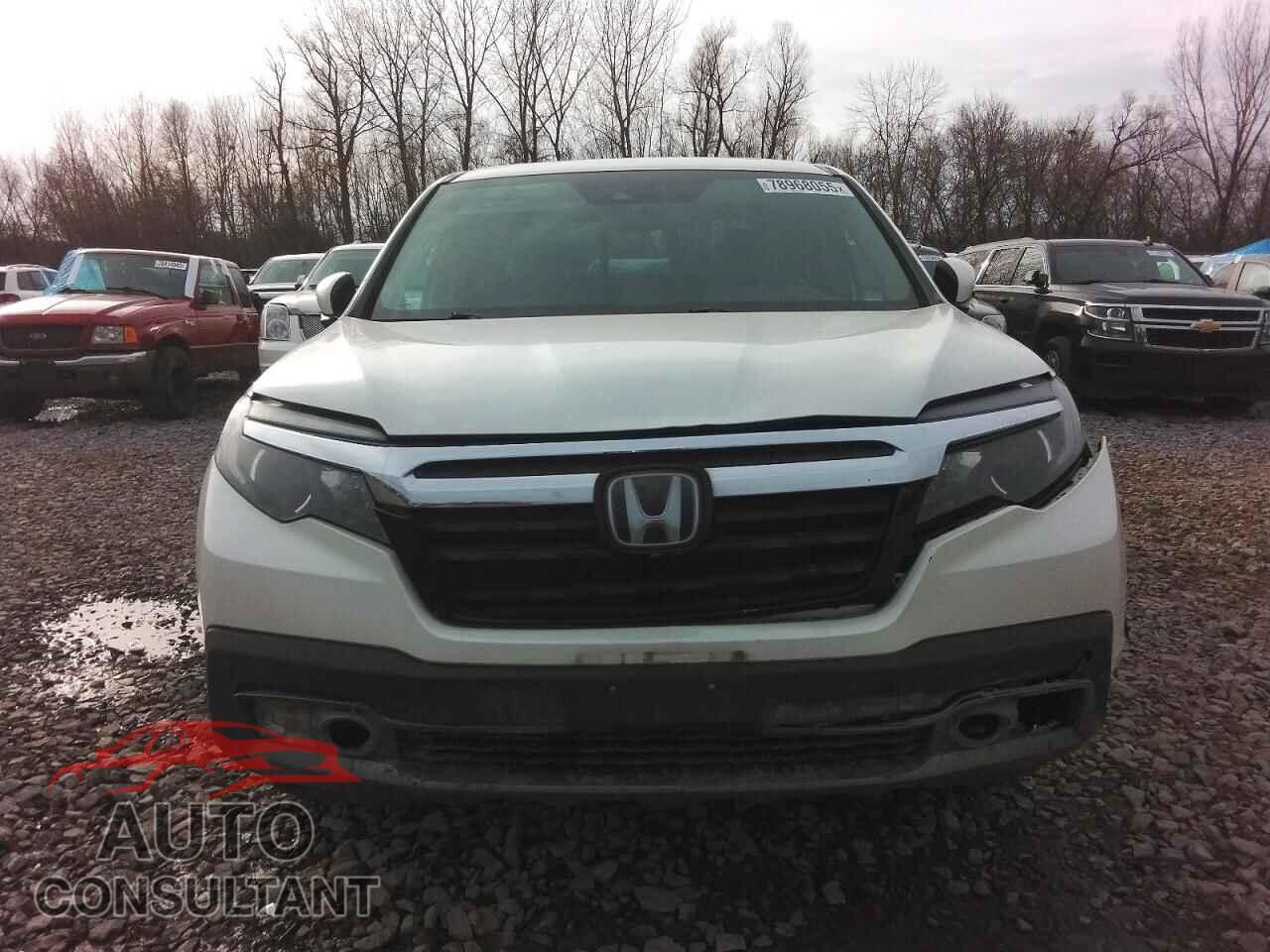 HONDA RIDGELINE 2019 - 5FPYK3F71KB032485