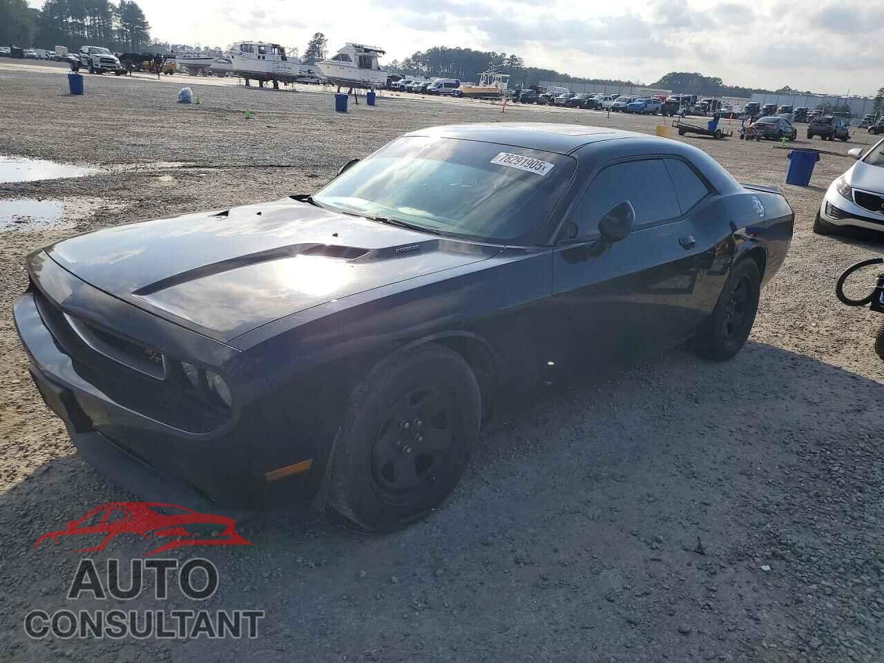 DODGE CHALLENGER 2013 - 2C3CDYBT3DH558387